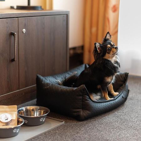 Familienapartment Am Neumarkt Lll Drezda Kültér fotó