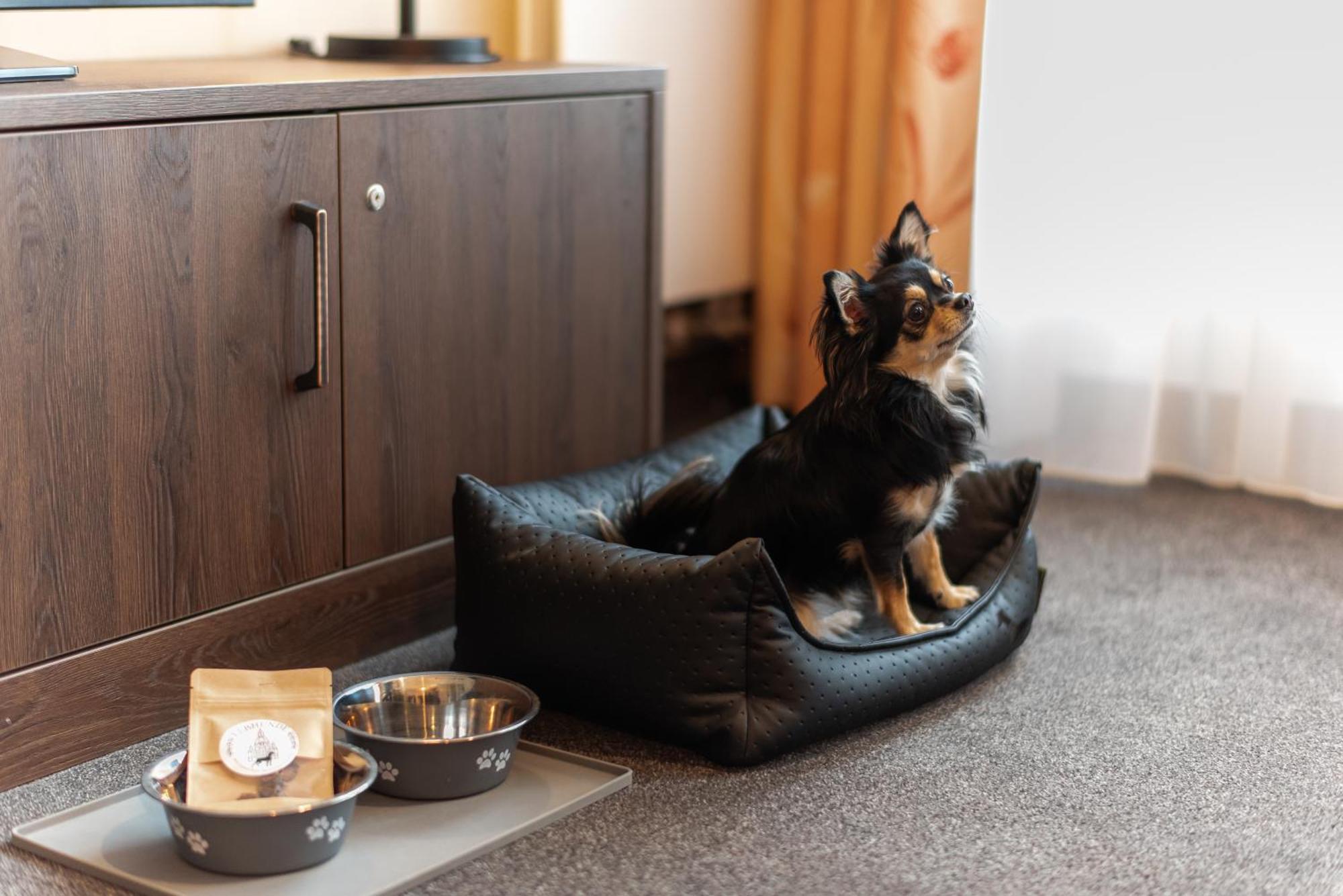 Familienapartment Am Neumarkt Lll Drezda Kültér fotó